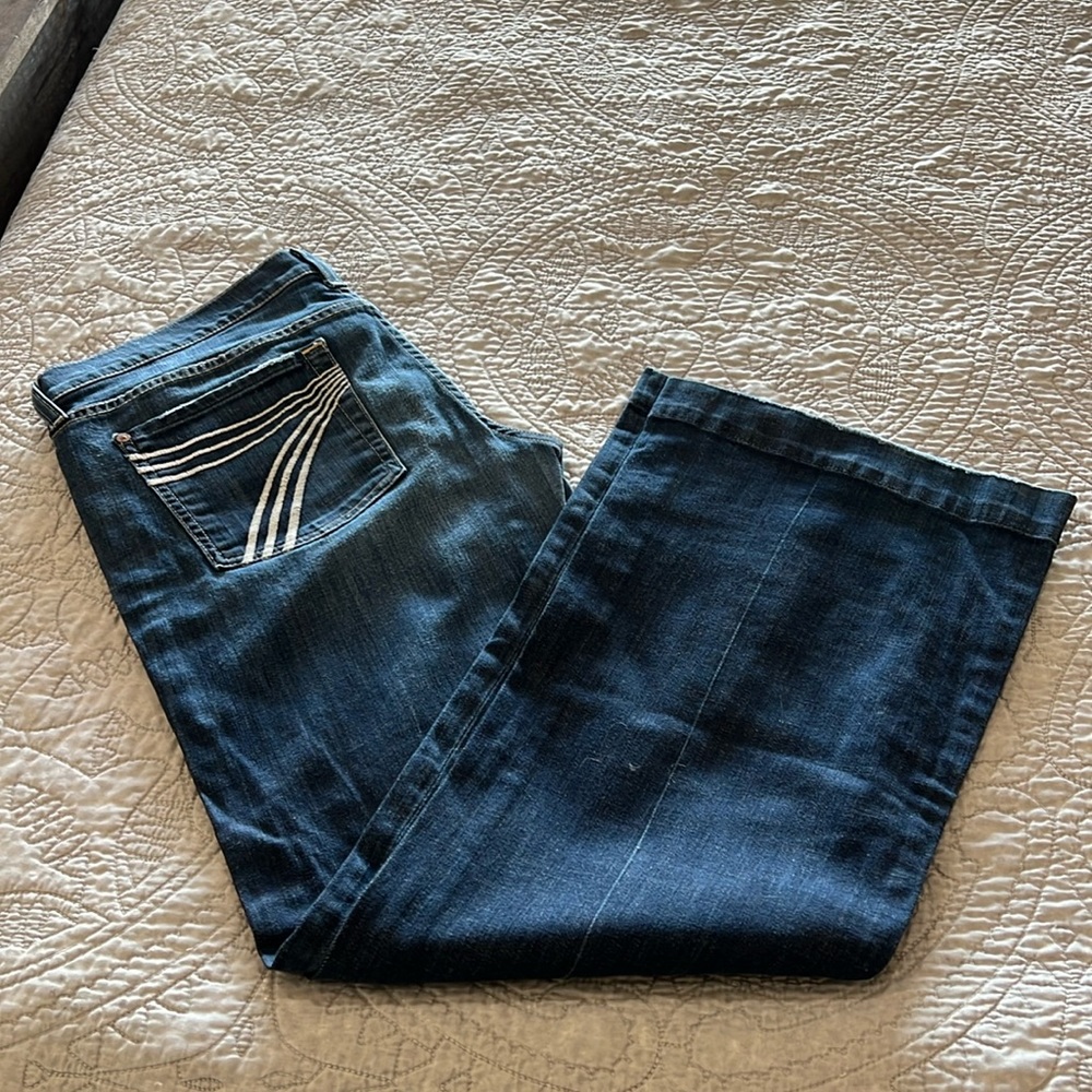 7 for all mankind dojo